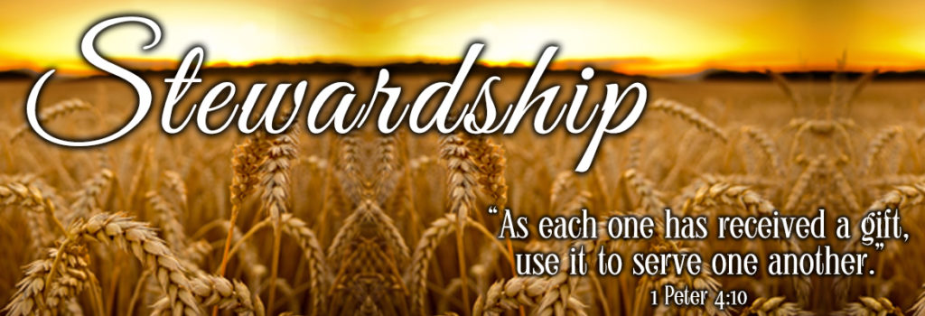 Stewardship